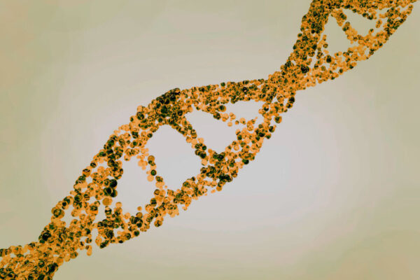 Sneller het effect van je training meten