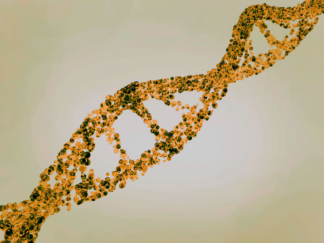 Sneller het effect van je training meten