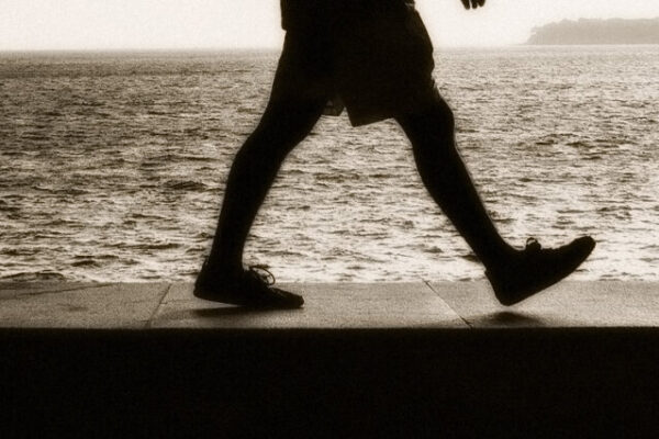 Nieuwe structuur voor Wandelbond