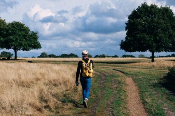 Steeds meer Nederlanders doen (meer) aan sport