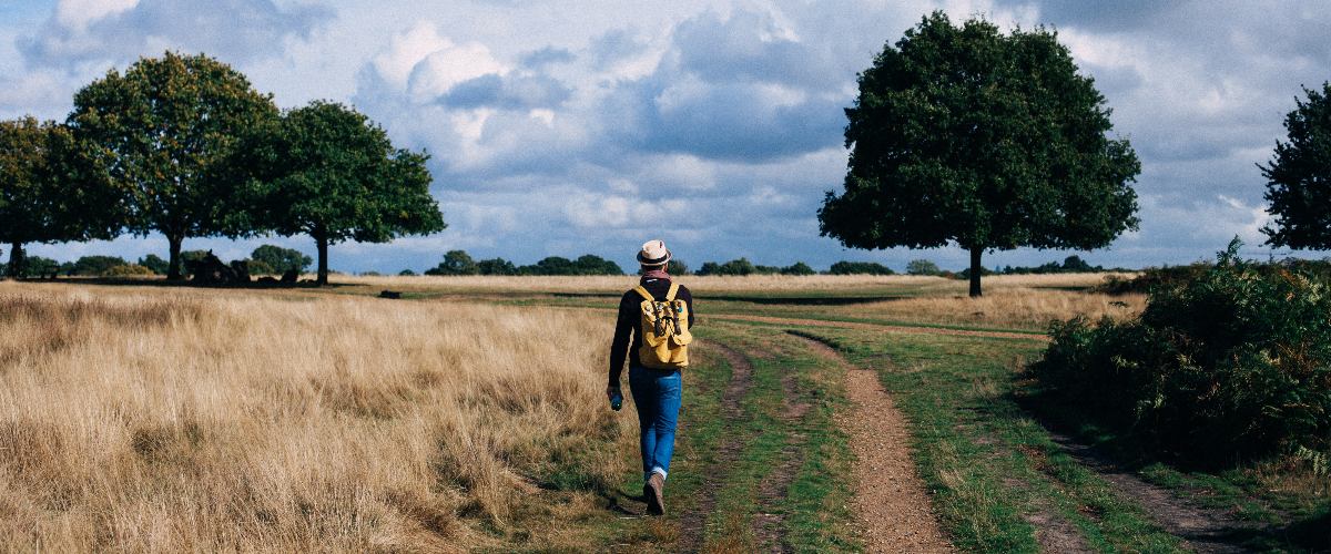 Steeds meer Nederlanders doen (meer) aan sport