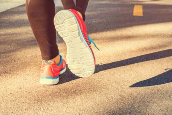 Uitverkochte Wandeltrainersdag: meer dan alleen licentiepunten