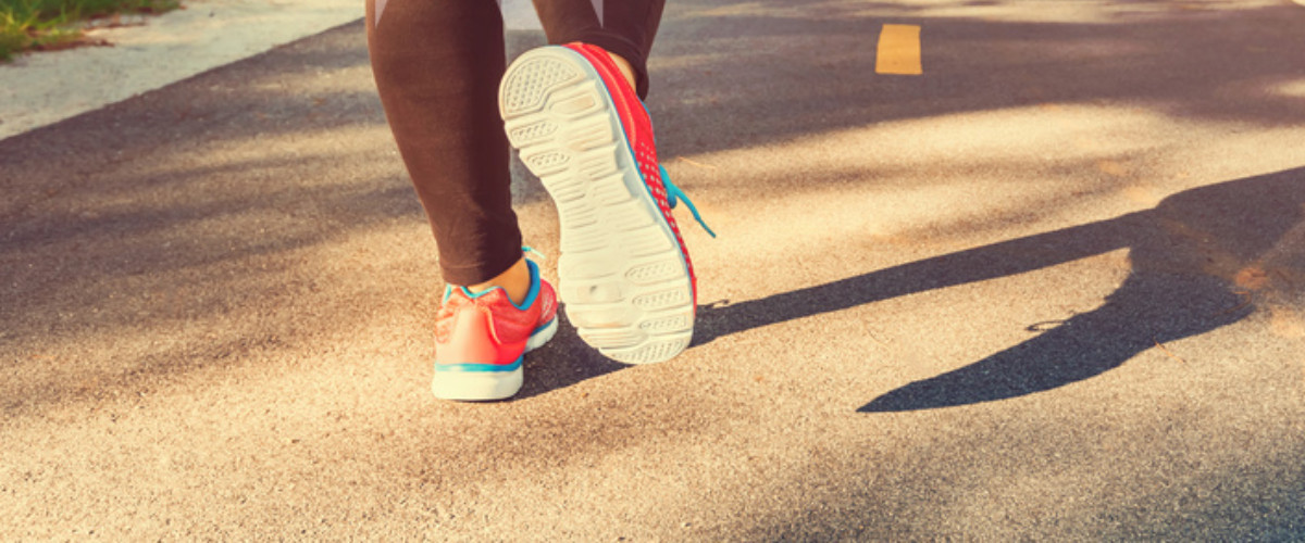 Uitverkochte Wandeltrainersdag: meer dan alleen licentiepunten
